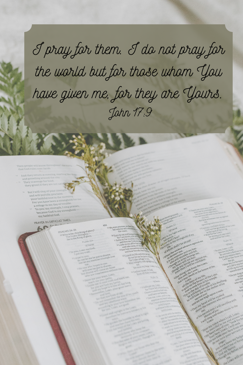 Everyone Needs Prayer: A prayer Shawl Series